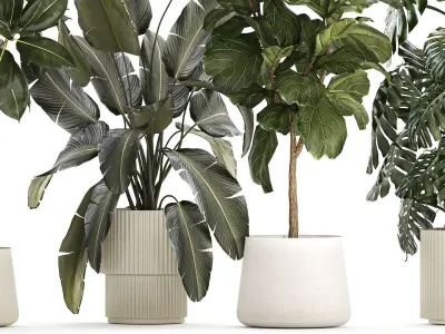 Set of beautiful plants and trees in pots for decoration 1322 3D model