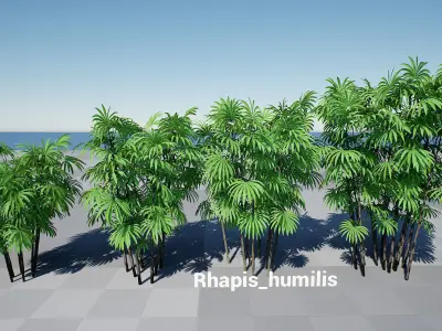 HQ Plants Volume 3 Palms for unreal engine 3D model set of 24 3D model