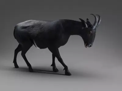 Goat 05 Rigged in Blender  Low-poly 3D model