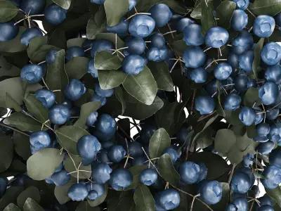 Bouquet Of Blueberry Branches In A Modern Glass 500 3D model