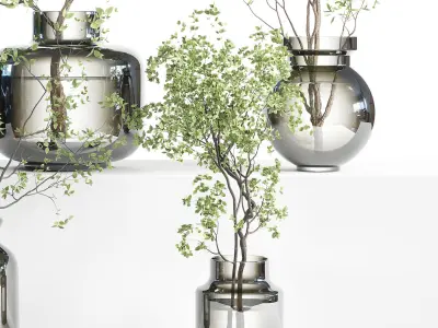 collection Plants Bouquet Indoor glass vase 08 3D model