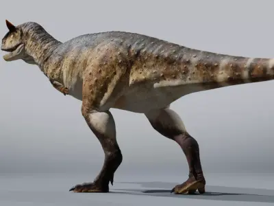 Carnotaurus Rig Low-poly 3D model