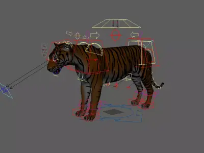 Tiger rig model with muscle simulation and xgen grooming Low-poly 3D model