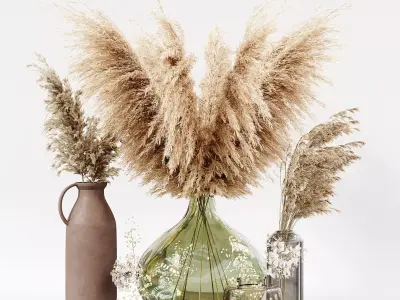 Collection dried plants 3D model