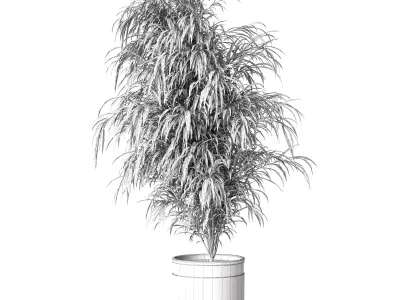 Indoor Plant Set 01 3D model purchase