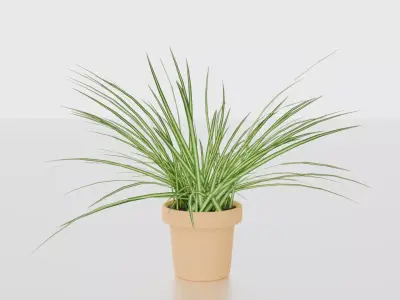 Indoor plants for decoration Low-poly 3D model