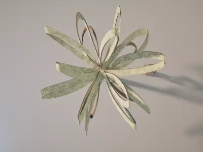 Conceptual palm tree S1Bv3 Low-poly 3D model