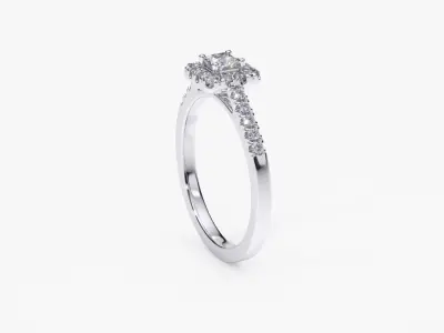 ZDR0142 engagement ring with princess cut diamonds 3D print model
