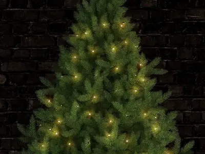 Plants collection 70 christmas tree 3D model