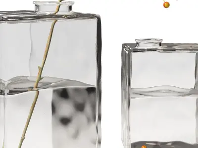 Square Glass Vase with berry branch home decor 3D model