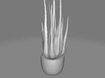 STORIES DESKTOP SUCCULENT PLANT IN POT 3D model