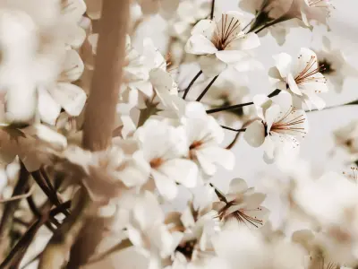 plants bouquet vase 53 3D model