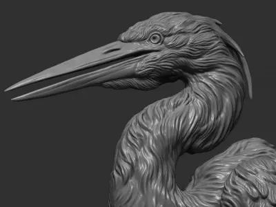 Grey Heron bust  3D print model