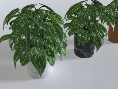 Pot Tropical Plant 3 Low-poly 3D model