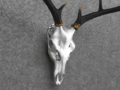 Deer Skull Mount Low-poly 3D model