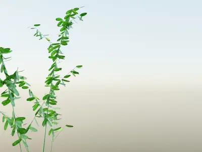 Low poly plants pack - 5 Units Low-poly 3D model