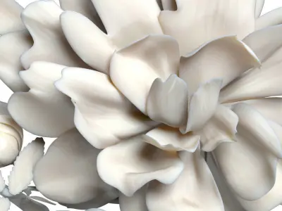 Flowers bunch Low-poly 3D model