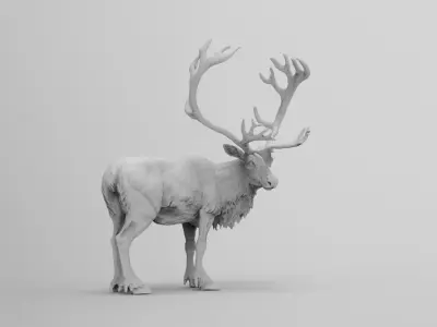 reindeer 3D model