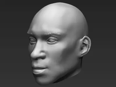 Kobe Bryant standard version only mesh 3D model