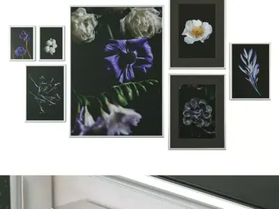 Gallery Wall 60 3D model