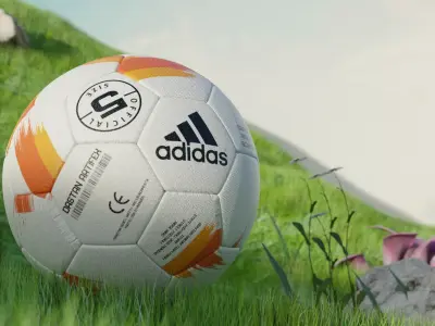 Football And A Grass field 3D model