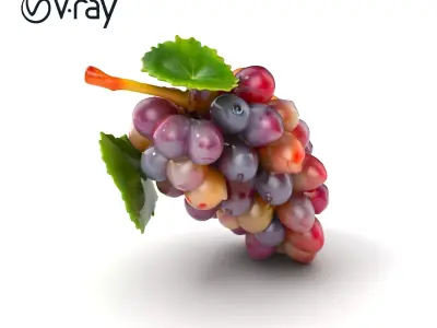 Dewy Grape Bunch Sculpture Model Pack Low-poly 3D model