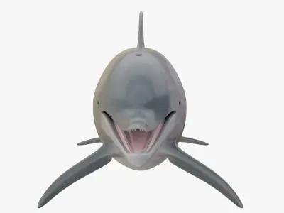 4K Textures Dolphin No Rigging Low-poly 3D model