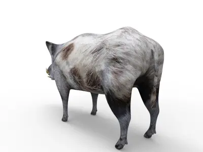 White Boar Rigged 3D Models Low-poly 3D model