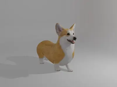 Welshcorgi corgi 3D model
