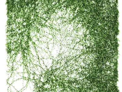 Set of 4 ivy models for walls or fence 3D model