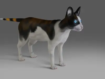 Calico Cat  Rigged in Blender  Low-poly 3D model