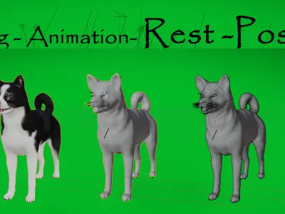 Karelian Bear Dog Low-poly 3D model