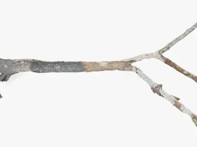 Withered Broken Tree with Roots Low-poly 3D model