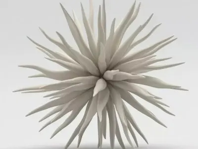 Decoration 08 Sea Urchin Free 3D model