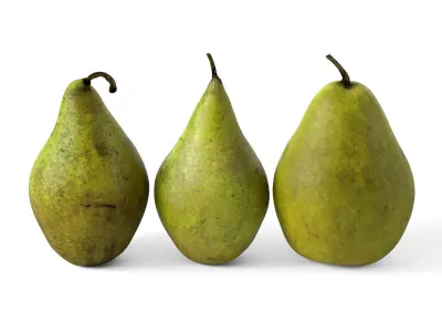 Pears 01 3D model