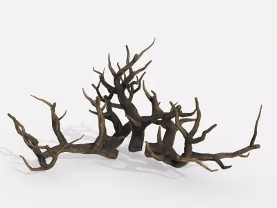 Aquarium Snag Banches V1 3D model