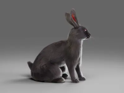 Fur Rabbit Gray V02 Rigged Low-poly 3D model