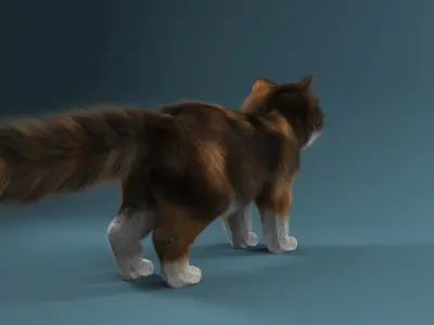 Persian cat 3D model