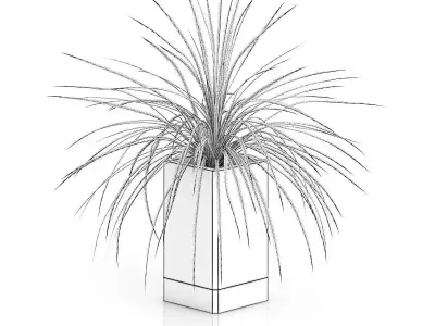 Small Plant in Wooden Pot 3D model