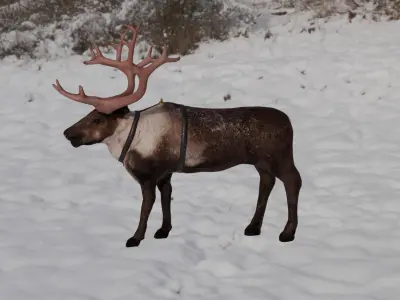 Reindeer Low-poly 3D model