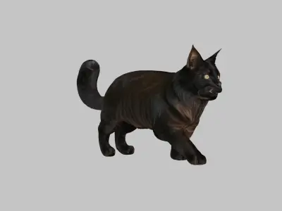 Black Cat 3D Model Low-poly 3D model