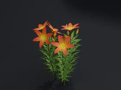 Lilium Lily Plant Low-poly 3D model
