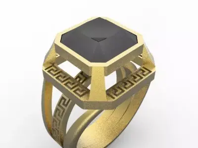 ring with ornament 3D print model
