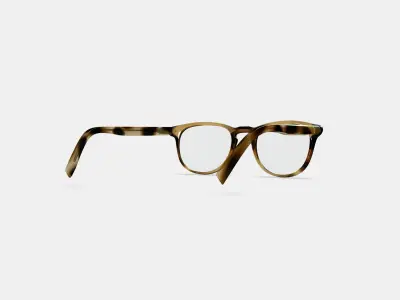Baker Eyeglasses in Striped Sassafras 3D model