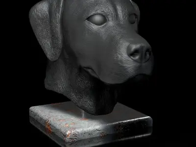 Labrador Male Head Portrait  STL-3D Printing Model High Polygon 3D print model