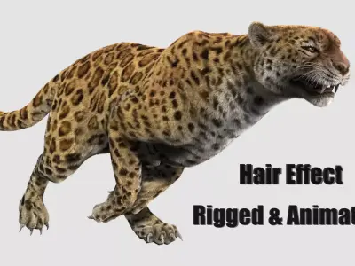 leopard panther puma jaguar Low-poly 3D model