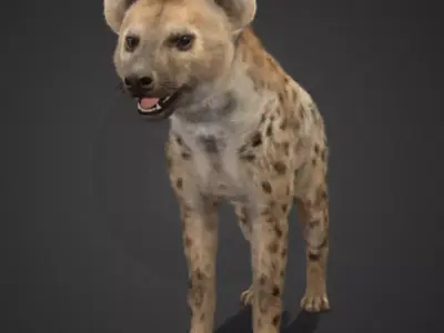 Hyena Realistic Animated 3D model