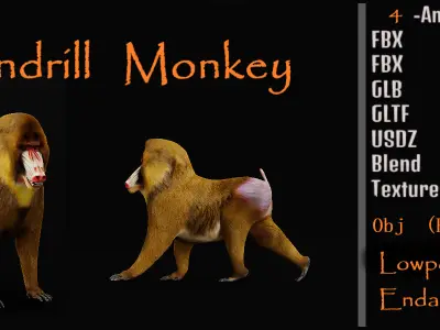 Mandrills Monkey Low-poly 3D model