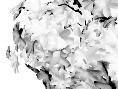 Young tree in white pot 3D model