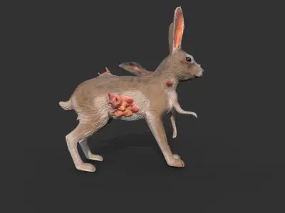 mutant rabbit Low-poly 3D model